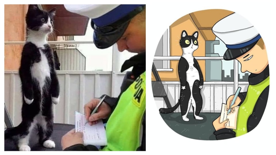 Slavné kočičí fotky na ilustracích